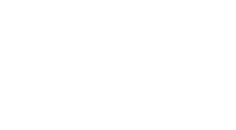 multicam Systems
